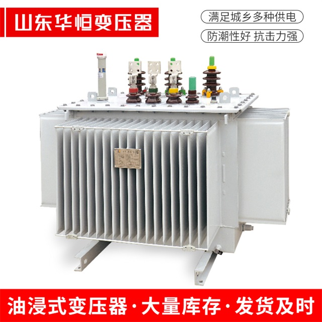 S13-10000/35汤旺河汤旺河汤旺河电力变压器